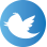 logo twitter couleur site
