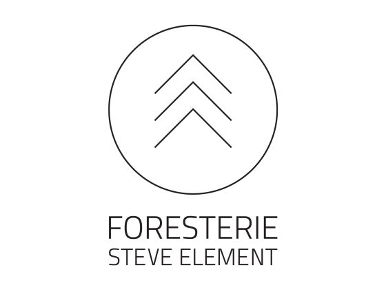 Logo simple ligne épuré