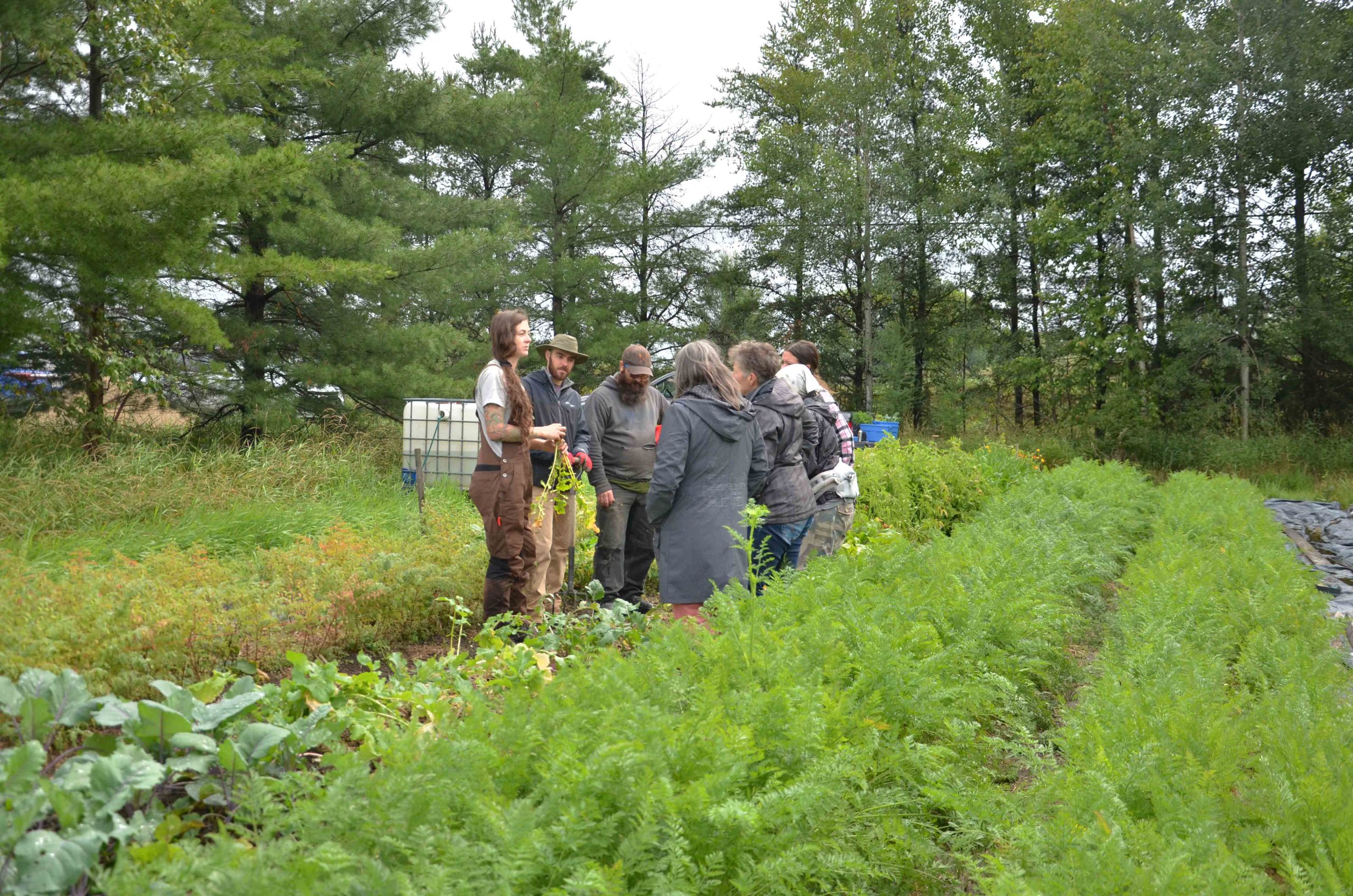 Cours de jardinage écologique
