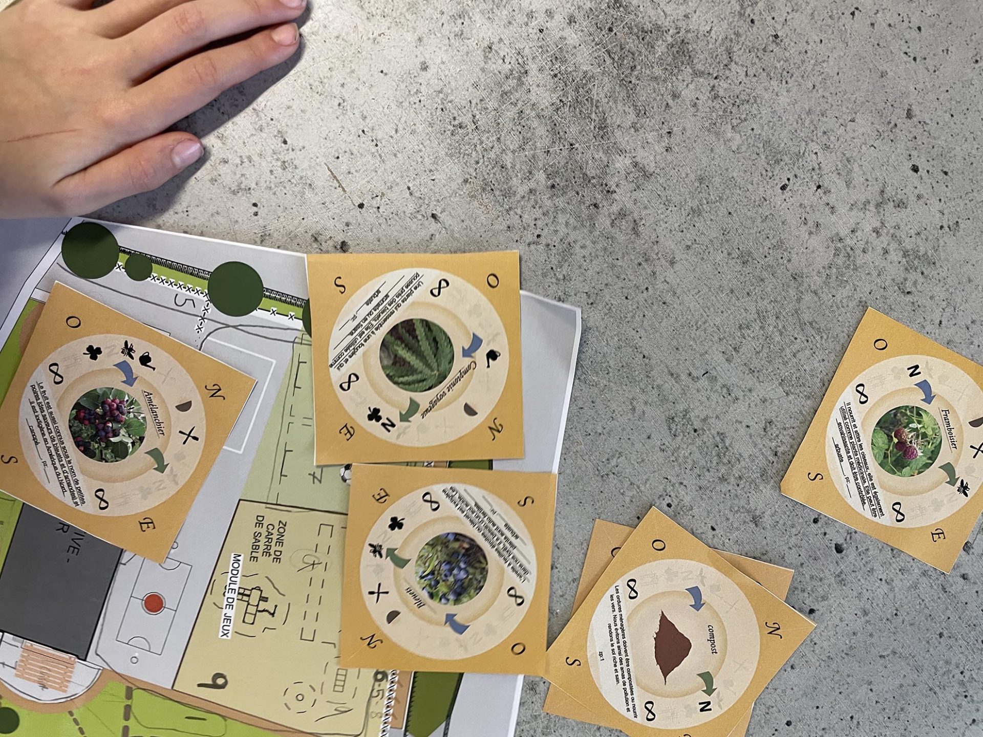 atelier pour la conception de forêt nourricière ou autre projet en permaculture