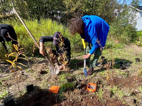 cet-creation-permaculture-foret-nourriciere4